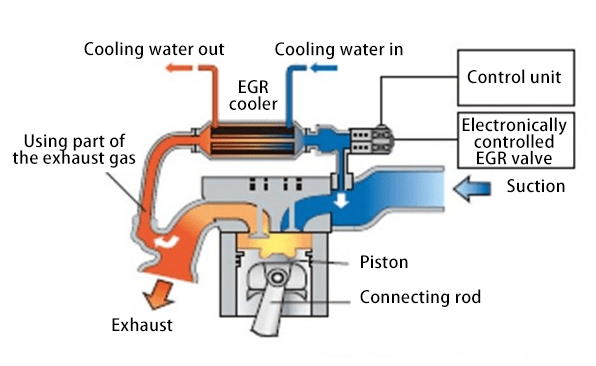 EGR system diagram and components